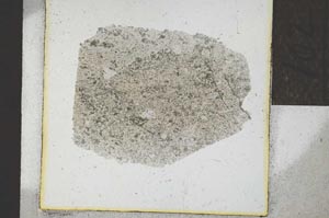 Plane Polarized, S22065