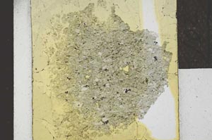 Plane Polarized, S22068