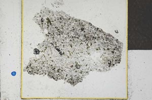 Plane Polarized, S22069
