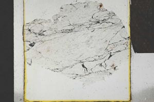 Plane Polarized, S22072