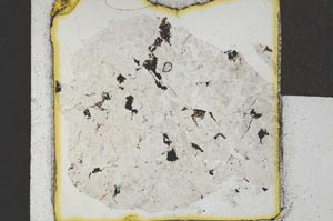 Plane Polarized, S22074