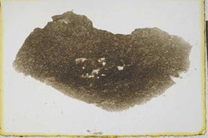 Plane Polarized, S22085