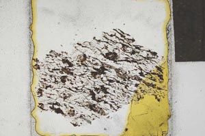 Plane Polarized, S22091