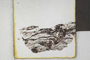 Plane Polarized, S22102