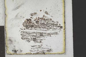 Plane Polarized, S22116