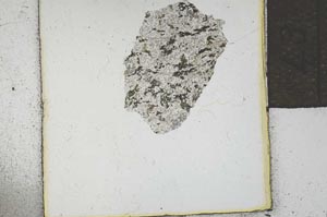Plane Polarized, S22120