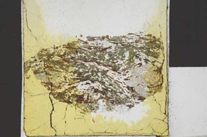 Plane Polarized, S22122