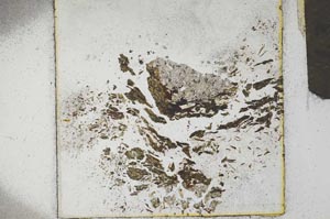 Plane Polarized, S22136