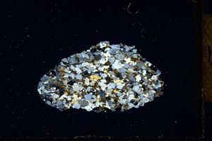 Cross Polarized, S22143