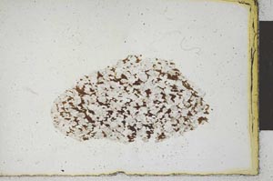 Plane Polarized, S22143