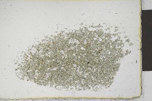 Plane Polarized, S22161