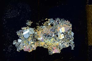 Cross Polarized, S22163