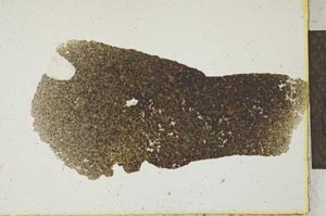 Plane Polarized, S22171