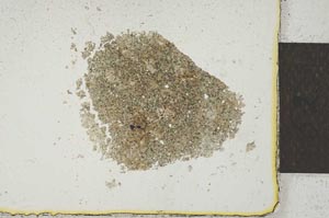 Plane Polarized, S22176