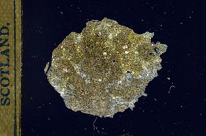 Cross Polarized, S22178