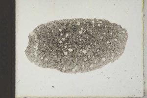 Plane Polarized, S22179