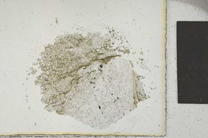 Plane Polarized, S22182