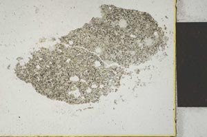 Plane Polarized, S22183