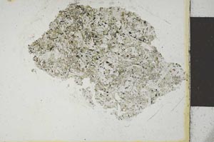 Plane Polarized, S22193