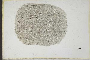 Plane Polarized, S22196