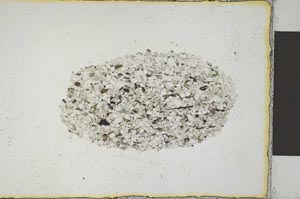 Plane Polarized, S22198