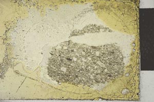 Plane Polarized, S22201