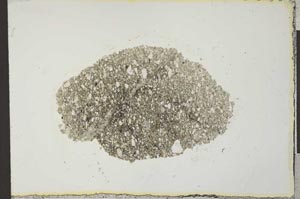 Plane Polarized, S22207
