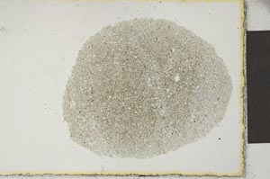 Plane Polarized, S22213