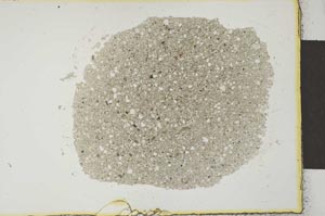 Plane Polarized, S22221