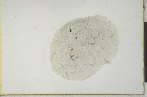 Plane Polarized, S22224