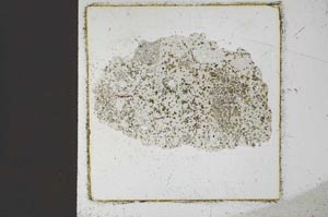 Plane Polarized, S22301