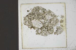 Plane Polarized, S22340