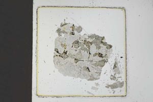 Plane Polarized, S22370