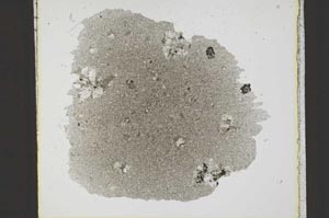 Plane Polarized, S22432