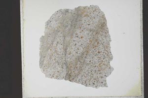 Plane Polarized, S22433