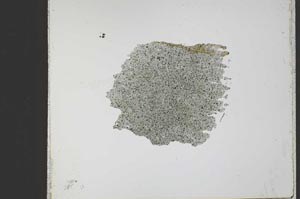 Plane Polarized, S22444