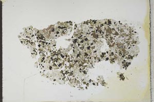 Plane Polarized, S22477