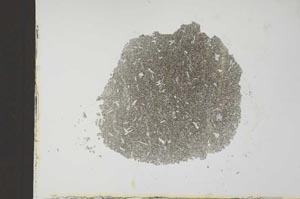 Plane Polarized, S22482