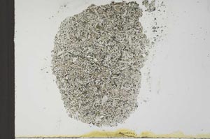 Plane Polarized, S22484