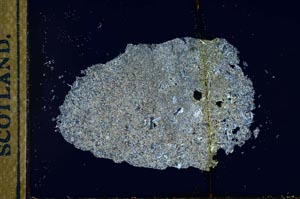 Cross Polarized, S22485