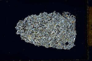 Cross Polarized, S22497