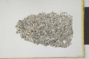 Plane Polarized, S22497