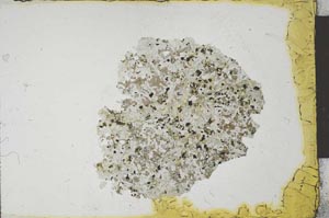 Plane Polarized, S22518