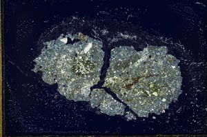 Cross Polarized, S22528
