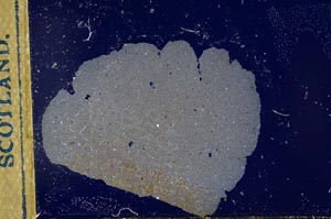 Cross Polarized, S22529