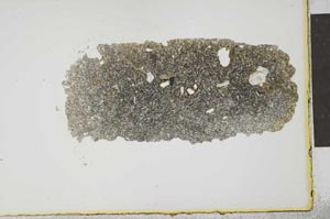 Plane Polarized, S22533