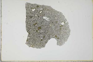 Plane Polarized, S22534