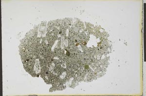 Plane Polarized, S22536