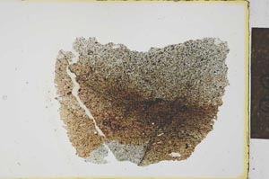 Plane Polarized, S22538