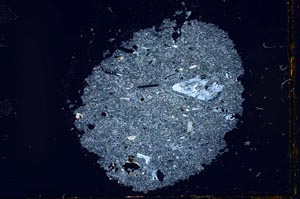 Cross Polarized, S22539